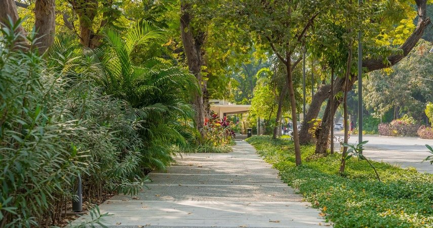 What Makes Vadodara One of India's Most Livable Cities?